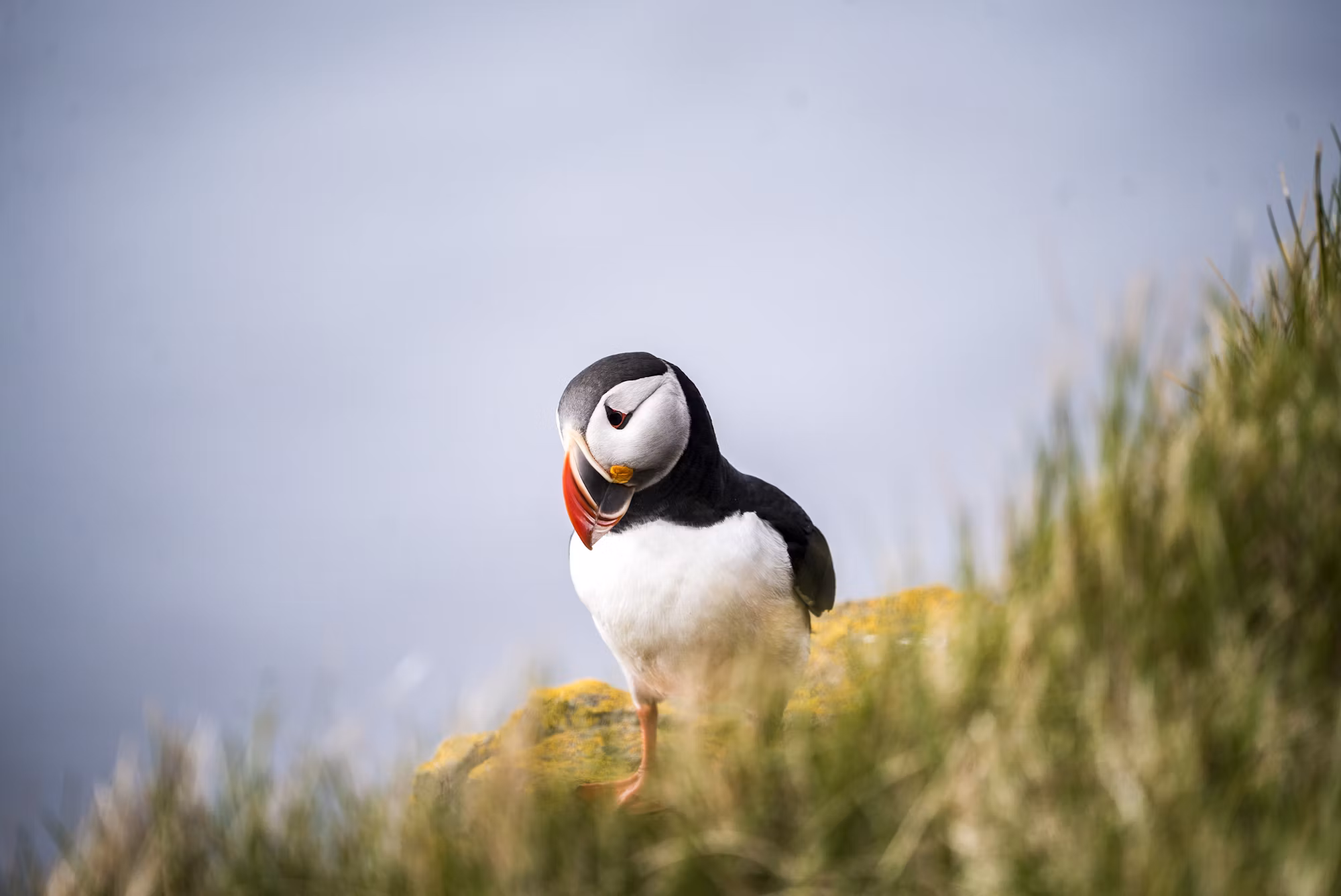 Exploring the Wonders of the World’s Marginal Seas